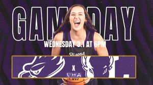 Image post by @lippy.lunatics on Instagram