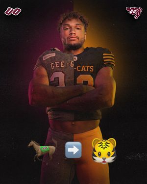 Image post by @geegeesfootball on Instagram