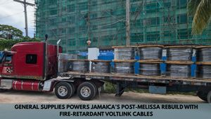 Image post by @jamaicagleaner on Instagram