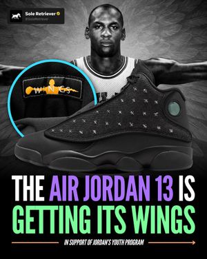 Image post by @soleretriever on Instagram