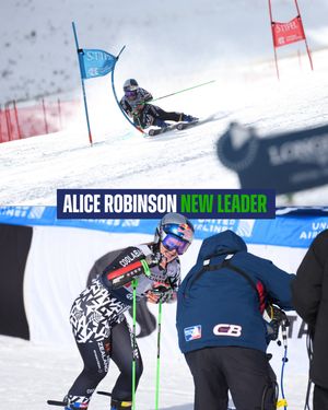 Image post by @fisalpine on Instagram