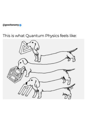 Image post by @gravitonomy on Instagram