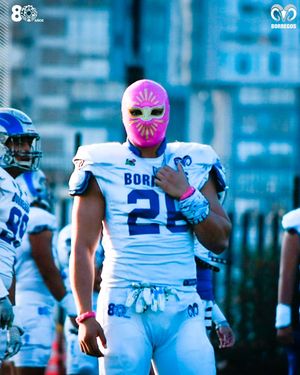 Image post by @borregostec on Instagram