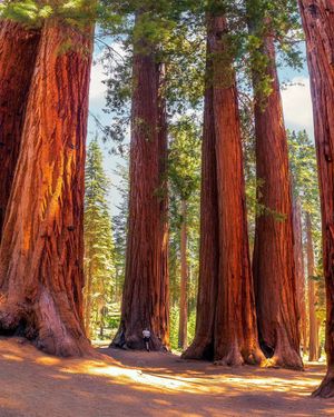 Image post by @nationalparkscollective on Instagram