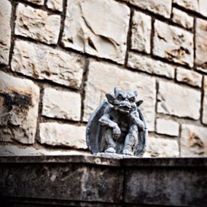 Image post by @kansasstateuniversity on Instagram