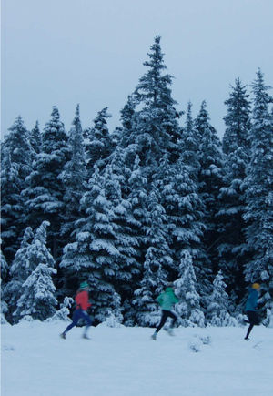 Video post by @thenorthface on TikTok