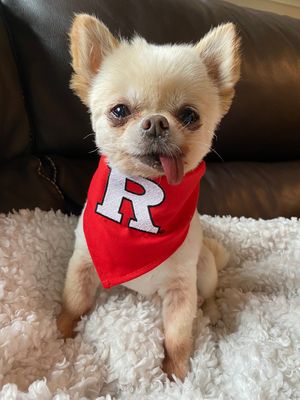 Image post by @rutgersu on Instagram