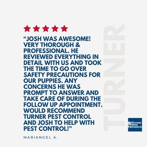 Image post by @TurnerPestControl on Facebook