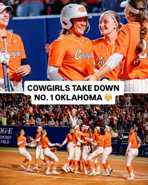 Image post by @ncaasoftball on Instagram