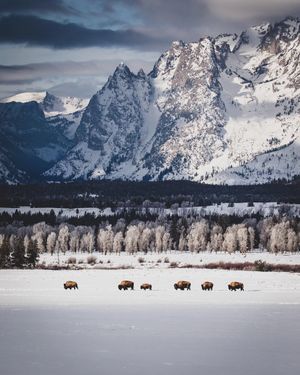 Image post by @jhski on Twitter