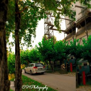 Image post by @c91photography on Instagram