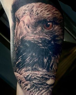 Image post by @vergertattoo on Instagram