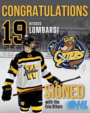 Image post by @siskinshockey on Instagram