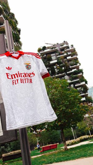 Video post by @slbenfica on TikTok