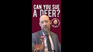 Video post by @nicoletlaw on YouTube
