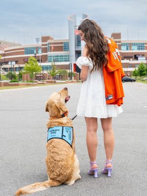 Image post by @clemsoncaninecompanions on Instagram