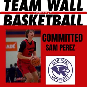 Image post by @teamwallhoops on Instagram