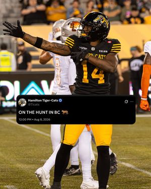 Image post by @Ticats on Twitter