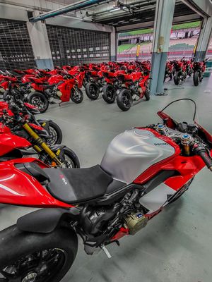 Image post by @panigalers on Instagram