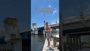 Video post by @dalton.chandlerr on YouTube