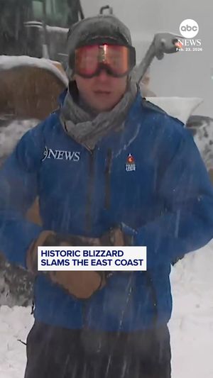 Video post by @abcnewslive on TikTok