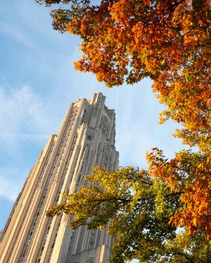 Image post by @pittadmissions on Instagram