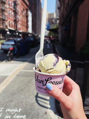 Image post by @sarah_in_toga on Instagram