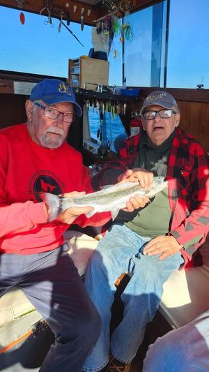 Video post by @MinnesotaDepartmentOfVeteransAffairs on Facebook