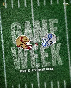 Image post by @elonfb on Instagram