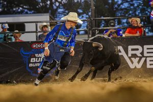 Image post by @ultimatebullfighters on Instagram