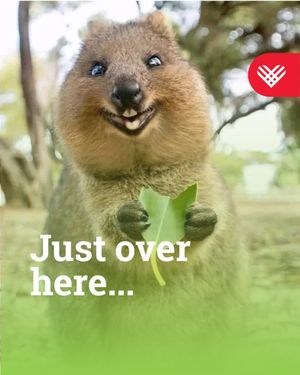 Image post by @givingtuesday on Instagram