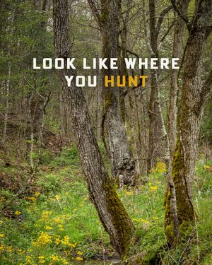 Image post by @realtreeoutdoors on Instagram