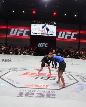 Image post by @ufcbjj on Instagram