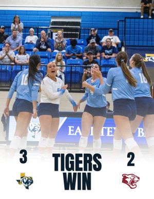 Image post by @goetbutigers on Instagram