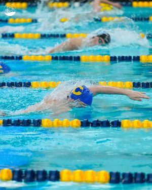 Image post by @carmel_swimming on Instagram