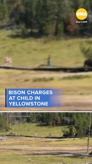 Video post by @gma on TikTok