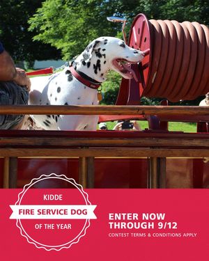 Image post by @kiddefiresafety on Instagram