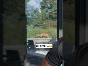 Video post by @nflnetwork on YouTube