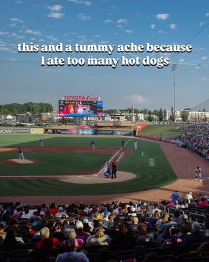 Image post by @trashpandasbaseball on Instagram