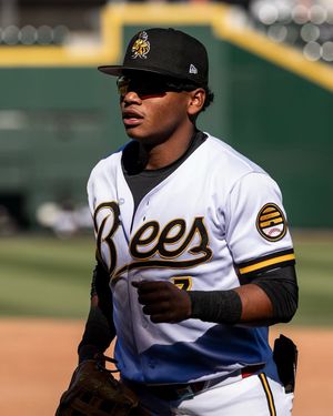 Image post by @saltlakebees on Instagram