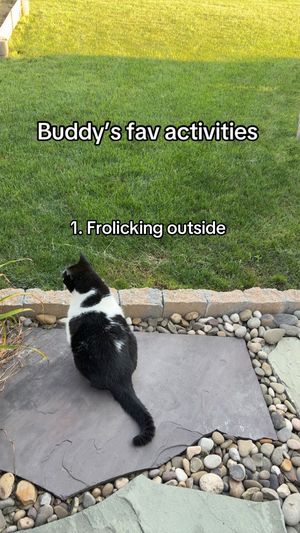 Video post by @buddyslife15 on TikTok