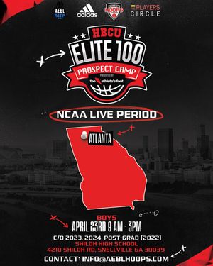 Image post by @aeblhoops on Instagram