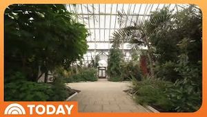 Video post by @today on YouTube