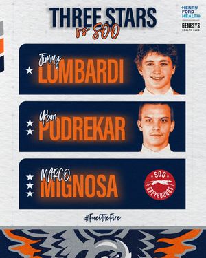 Image post by @flintfirebirds on Instagram