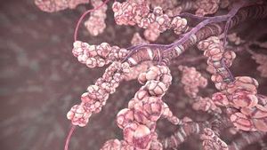 Video post by @nucleusmedicalmedia on YouTube