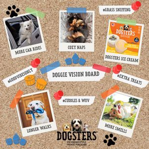 Image post by @dogstersicecream on Instagram