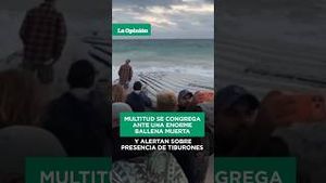 Video post by @laopinionla on YouTube