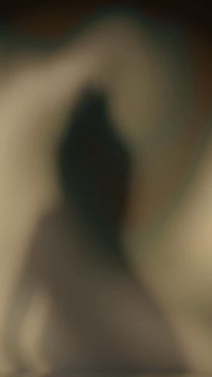 Video post by @Senses Concert on Facebook