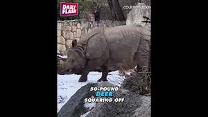 Video post by @dailyflashtv on YouTube