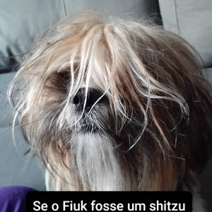 Image post by @erikanonatoarquiteta on Instagram